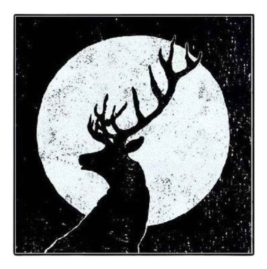 Mid-Night Wildlife Beauty