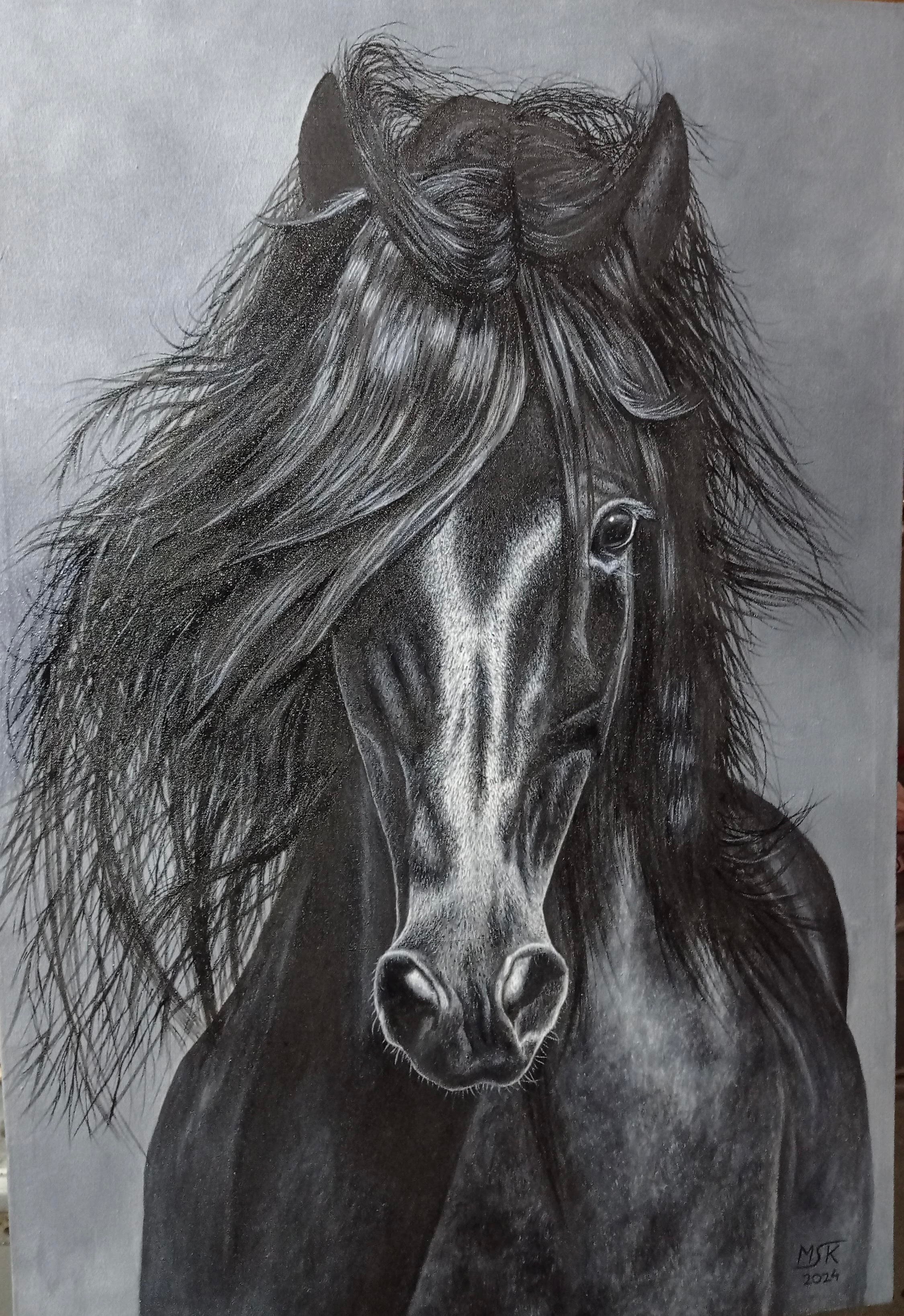 Midnight Majesty