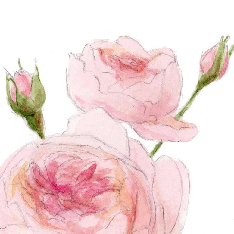The Rose