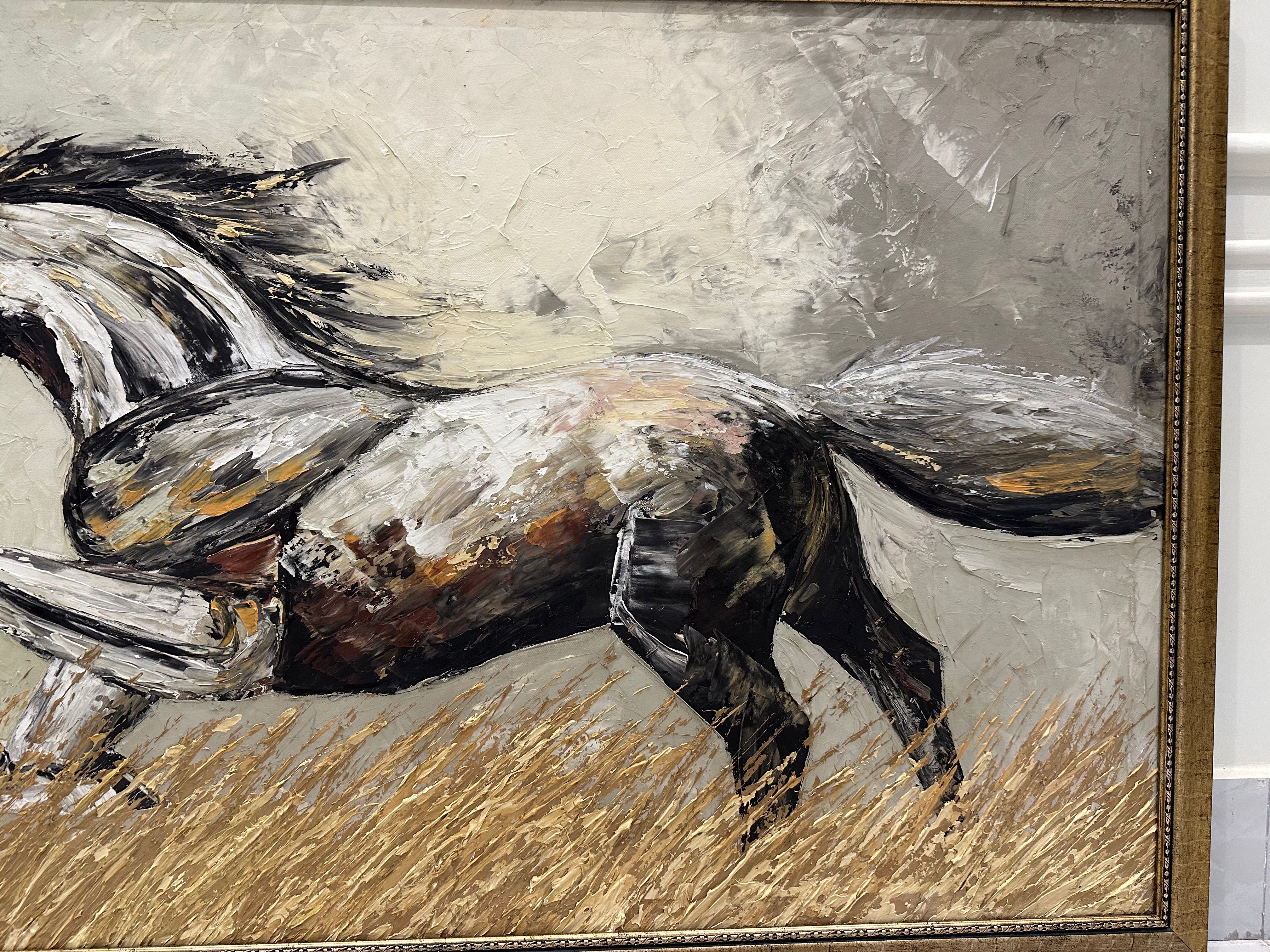 Untamed Spirit