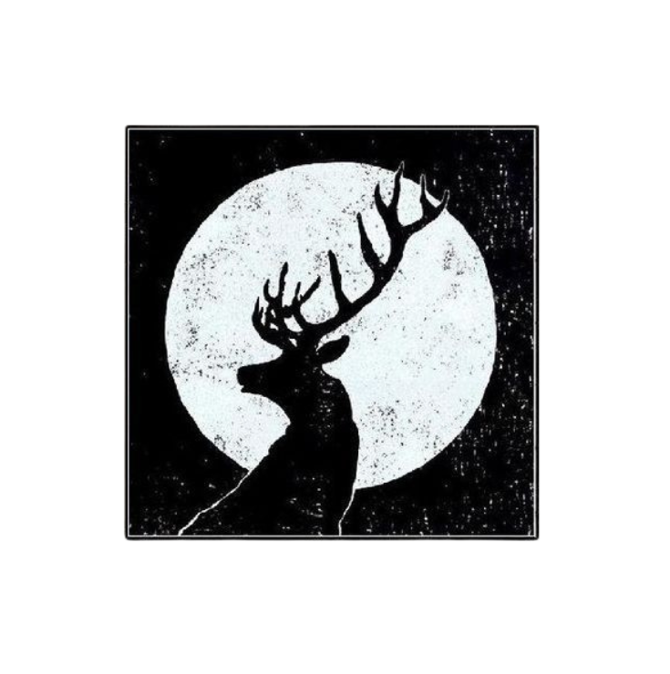 Mid-Night Wildlife Beauty