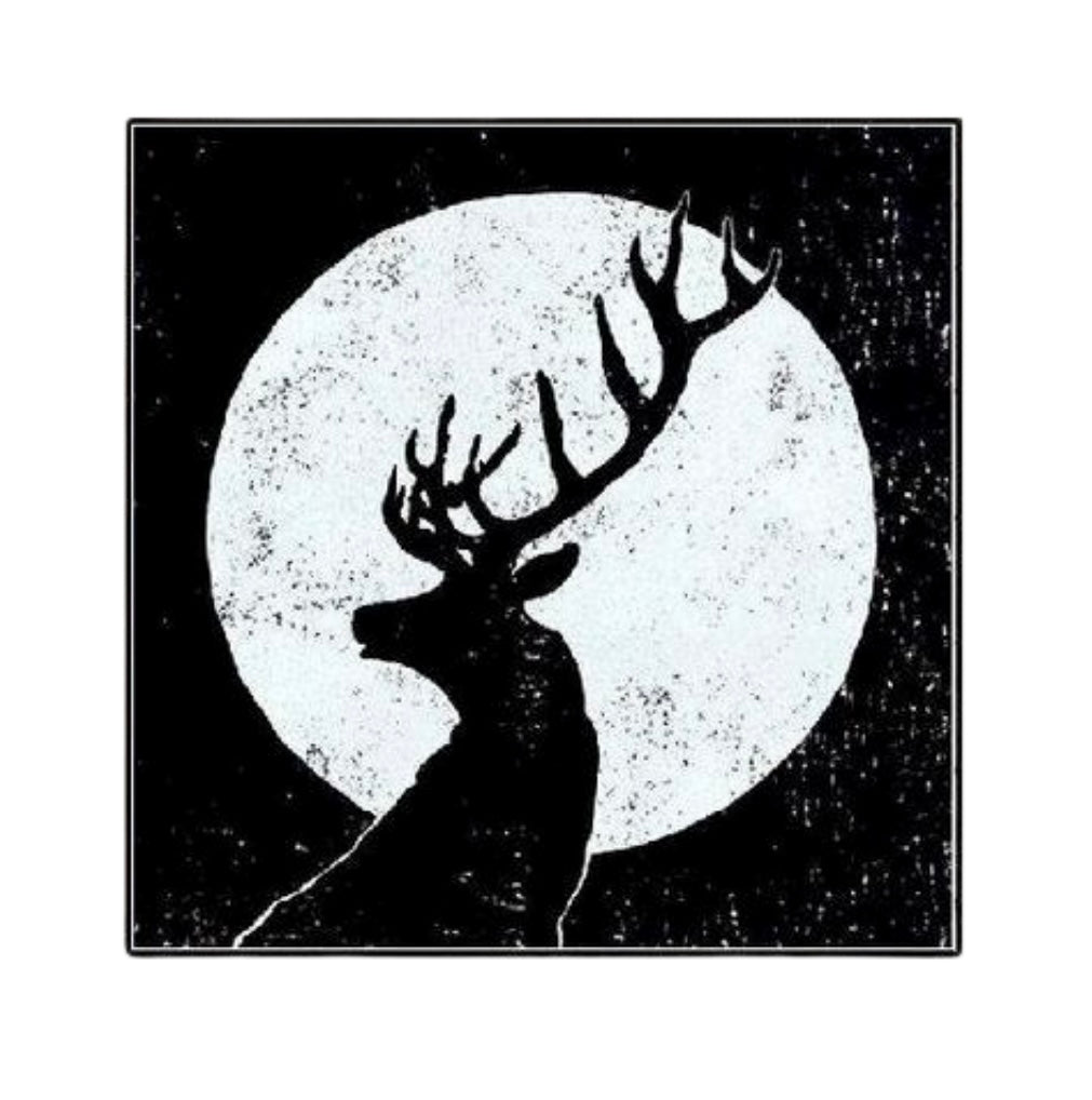 Mid-Night Wildlife Beauty