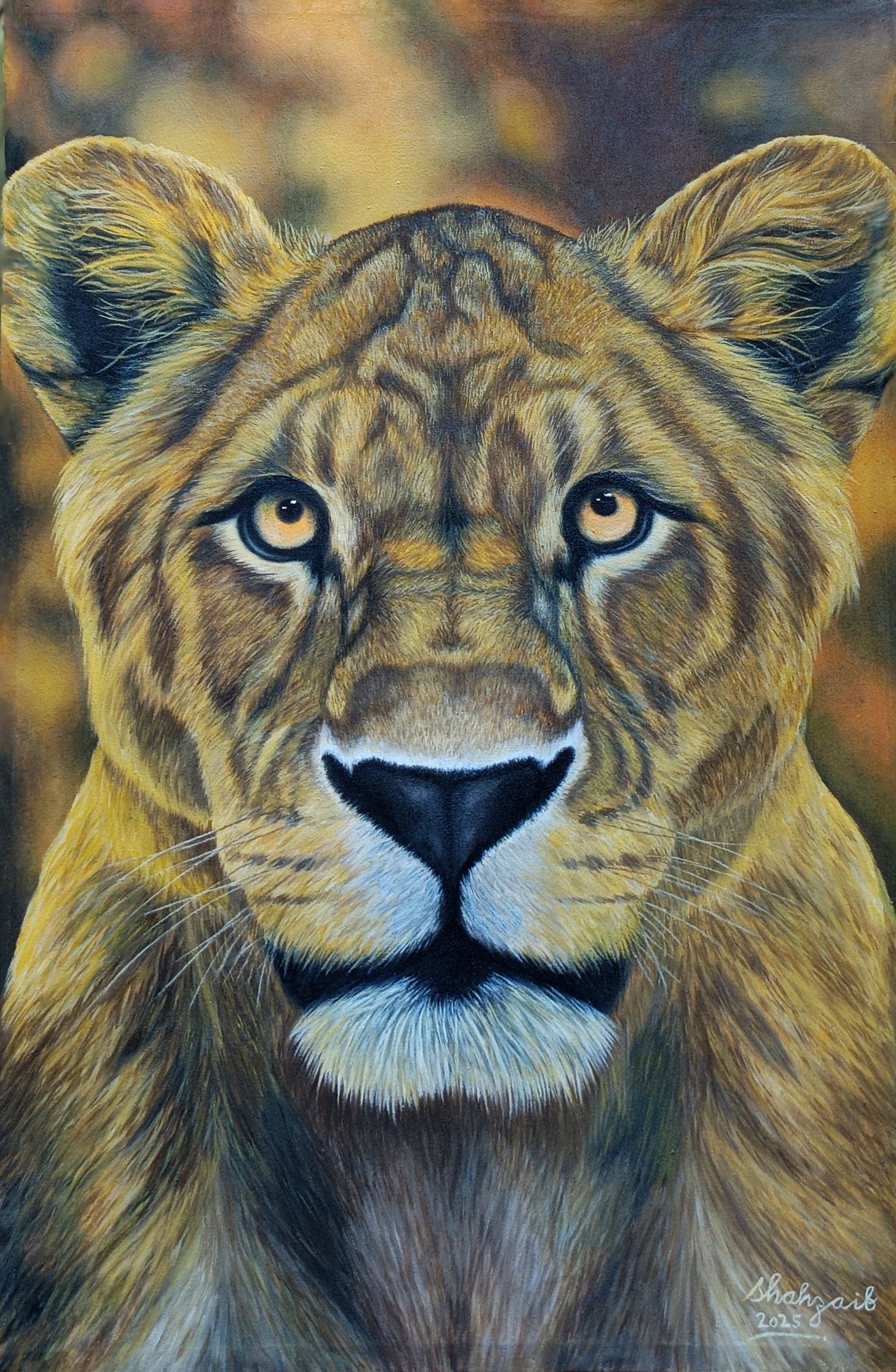 Gaze of the Wild