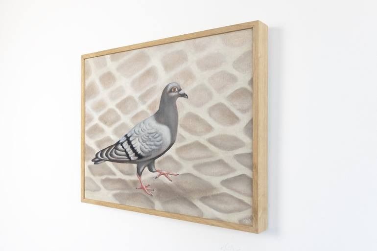 Pigeon on Cobblestones