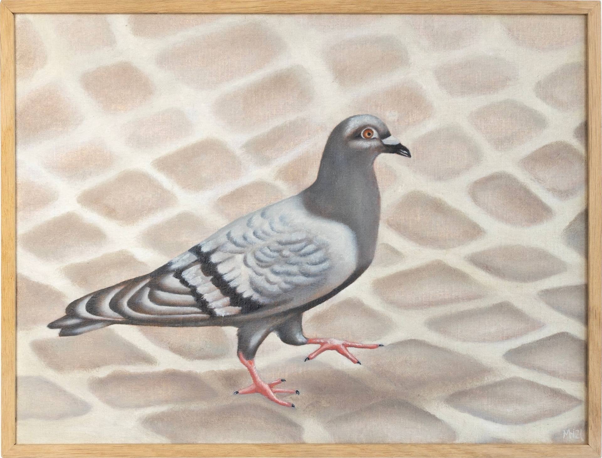 Pigeon on Cobblestones